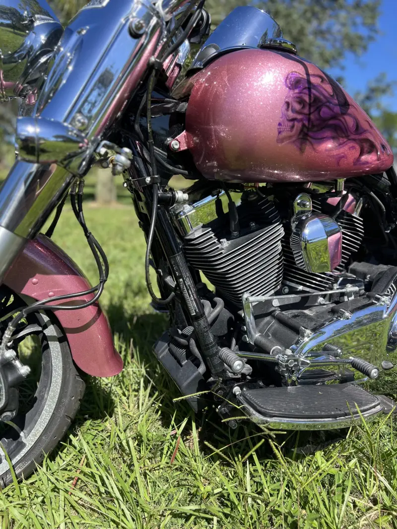 2016 Harley-Davidson Freewheeler photo 22