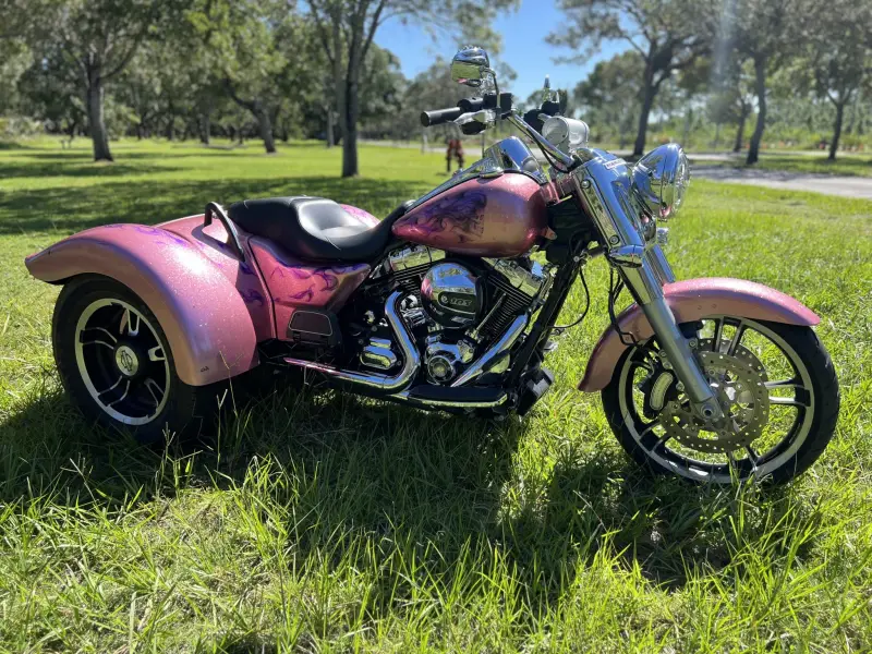 2016 Harley-Davidson Freewheeler photo 13