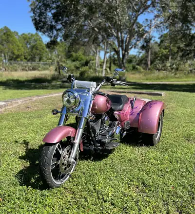 2016 Harley-Davidson Freewheeler