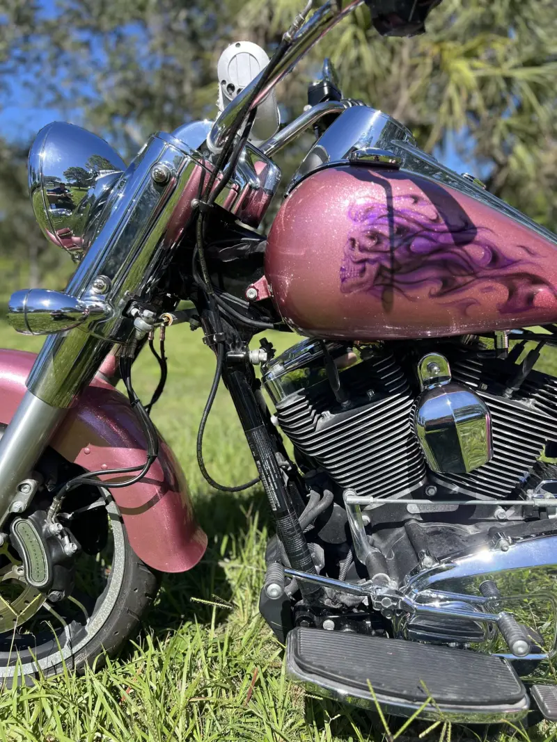 2016 Harley-Davidson Freewheeler photo 66