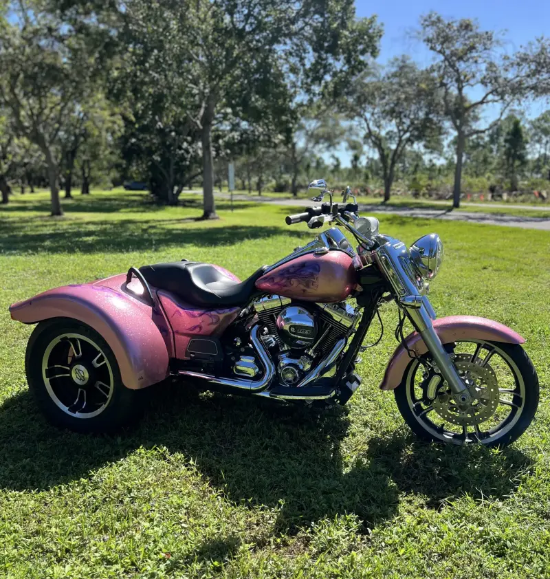 2016 Harley-Davidson Freewheeler photo 3