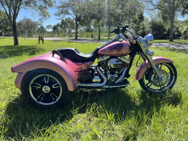 2016 Harley-Davidson Freewheeler photo 14