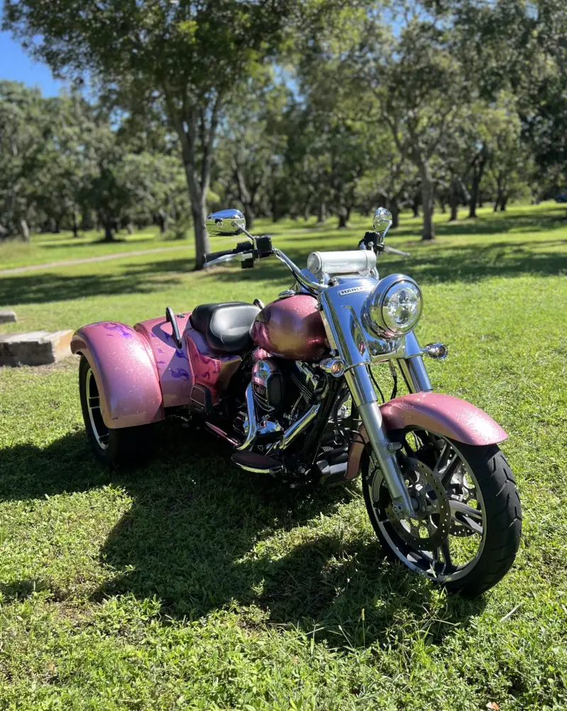 2016 Harley-Davidson Freewheeler photo 2