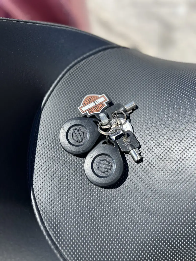 2016 Harley-Davidson Freewheeler photo 68