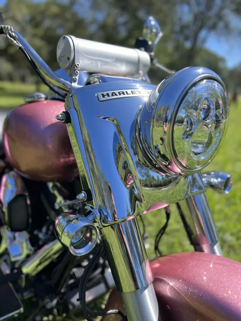 2016 Harley-Davidson Freewheeler photo 29