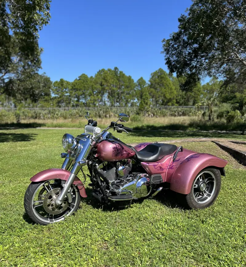 2016 Harley-Davidson Freewheeler photo 7