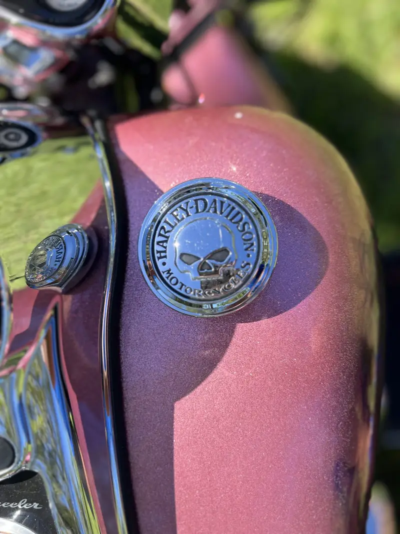 2016 Harley-Davidson Freewheeler photo 41