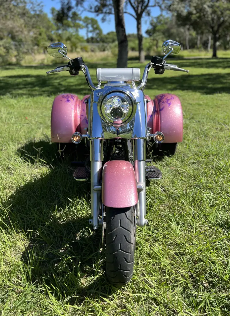 2016 Harley-Davidson Freewheeler photo 11